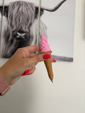 Ice Cream Pen