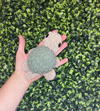 Plush Turtle