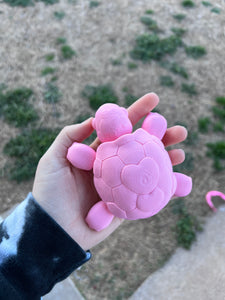 3D Print Turtle Fidget Toy